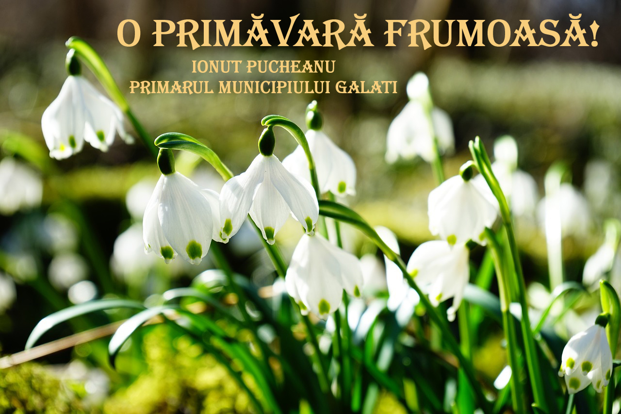 Primarul Ionuţ Pucheanu vă urează: O primăvară frumoasă!