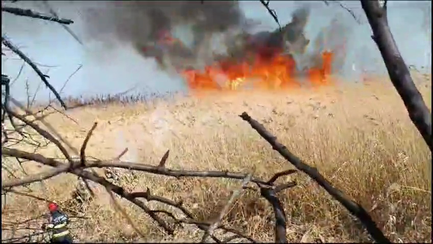 VIDEO: Incendiu puternic de vegetație în Galați