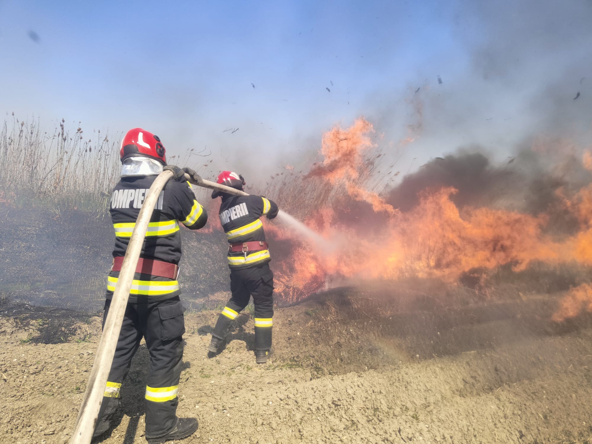 Incendiu puternic de vegetaţie uscată