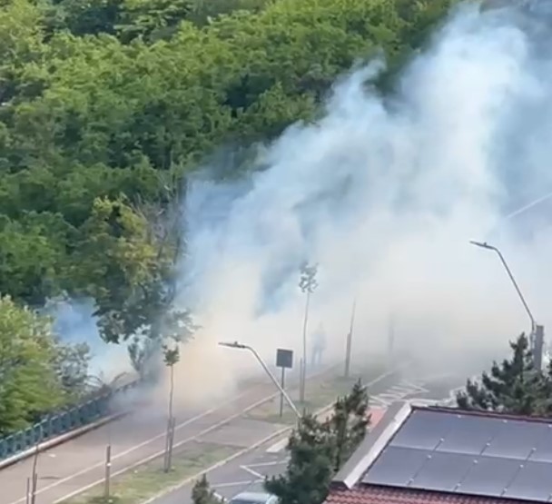 VIDEO: Incendiu pe Faleza Dunării de la Galaţi