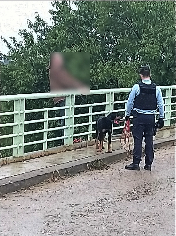 Tina, câinele care l-a determinat pe stăpân să renunţe la sinucidere
