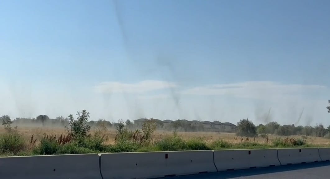 Galați: Coloane de insecte pe cer, fenomen rar din cauza căldurii