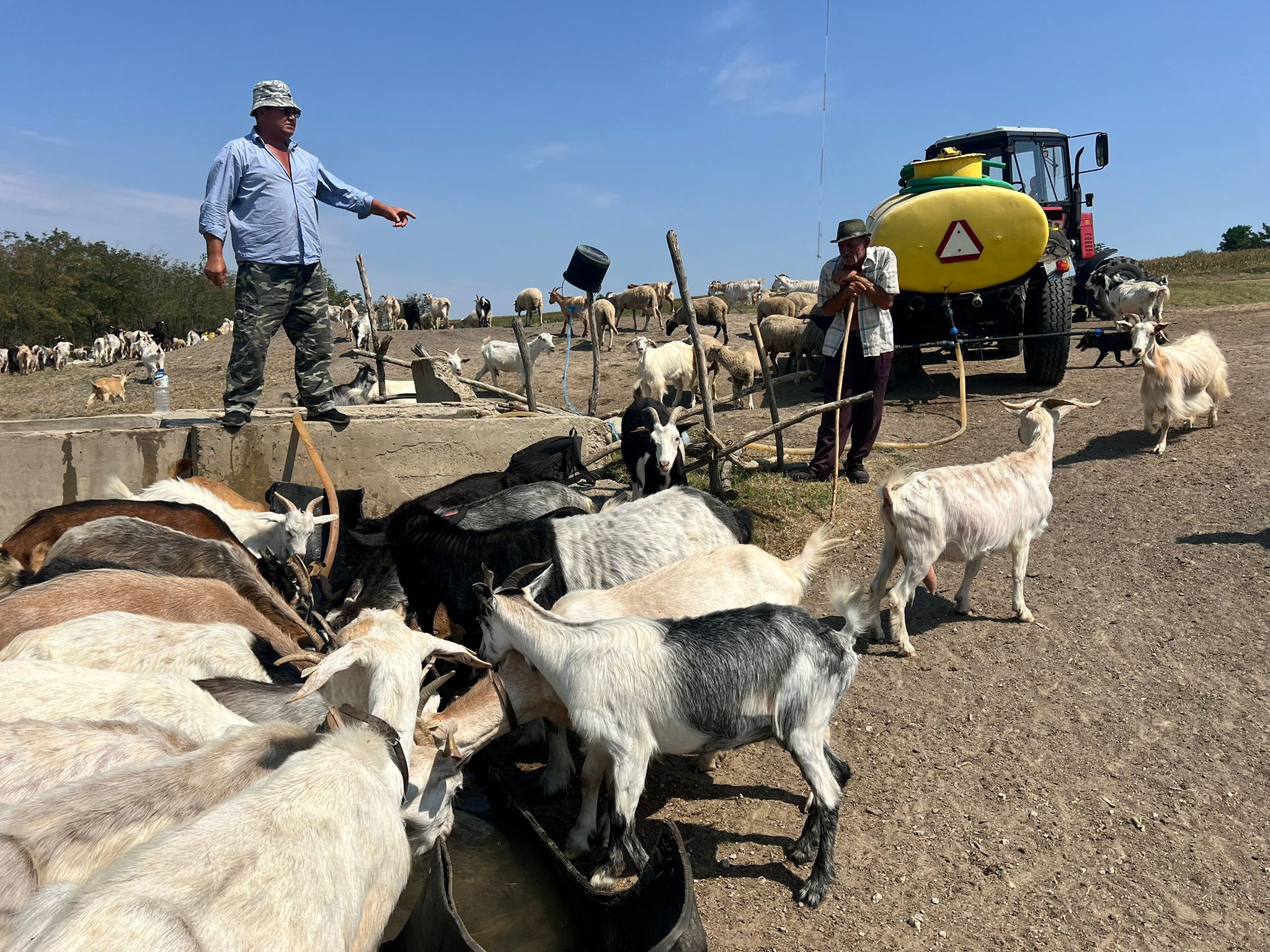 Galați: O altă localitate asigură apă animalelor fermierilor (VIDEO)