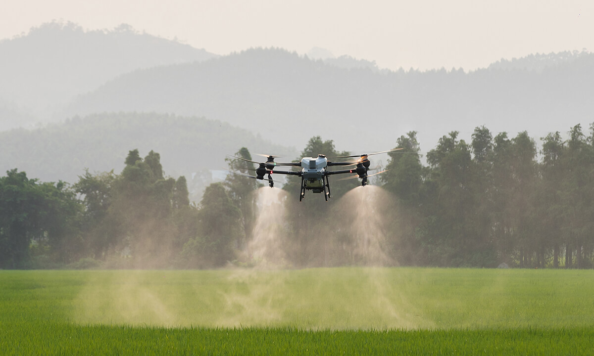Tehnologia dronelor transformă agricultura din Iaşi: Tot mai mulţi fermieri o adoptă