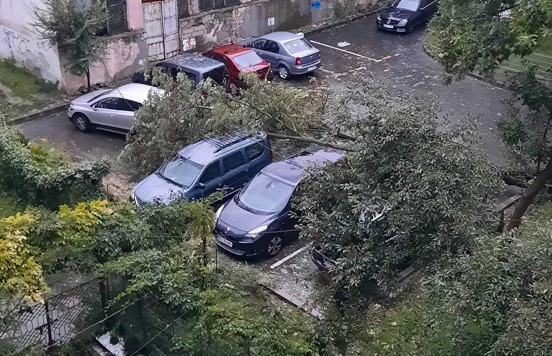 Vreme rea în Galaţi: Copaci căzuţi peste fire de curent şi maşini; apa din curţi ameninţă să intre în case (FOTO)