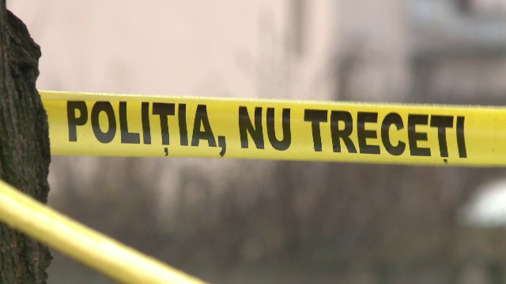 Tragedie: Băiat de 18 ani găsit spânzurat pe un deal la Izvoarele, Tulcea