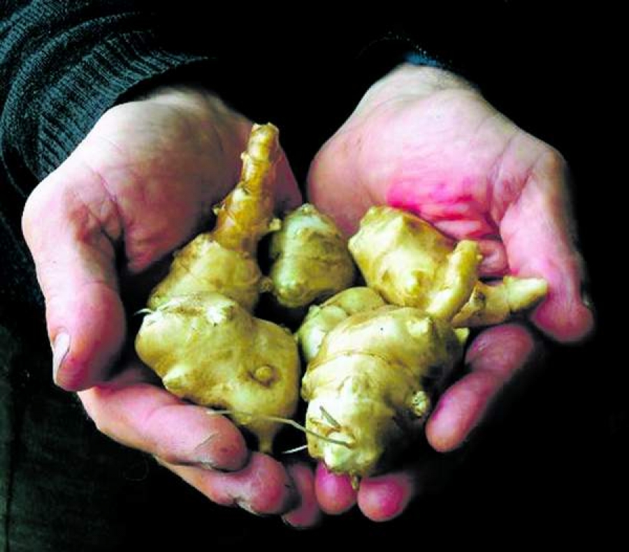 Legume de care probabil nu ai auzit niciodată