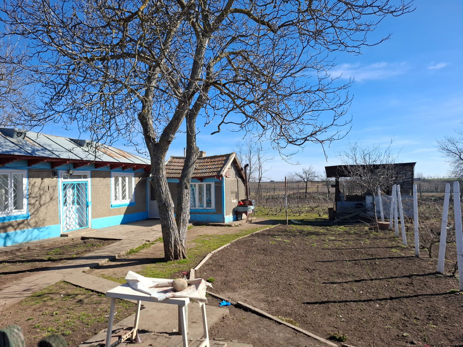 Crimă la Băleni: Bătrână ucisă după un jaf de un tânăr abia eliberat din închisoare