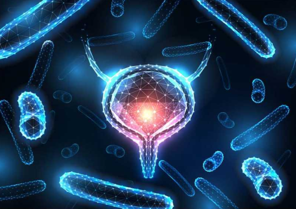 Statele Unite aprobă un nou antibiotic pentru tratarea infecţiilor urinare