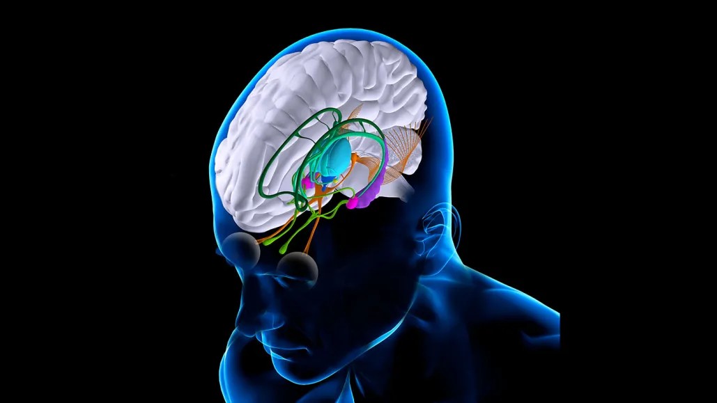 Implantul cerebral care converteşte gândurile în vorbire aproape în timp real