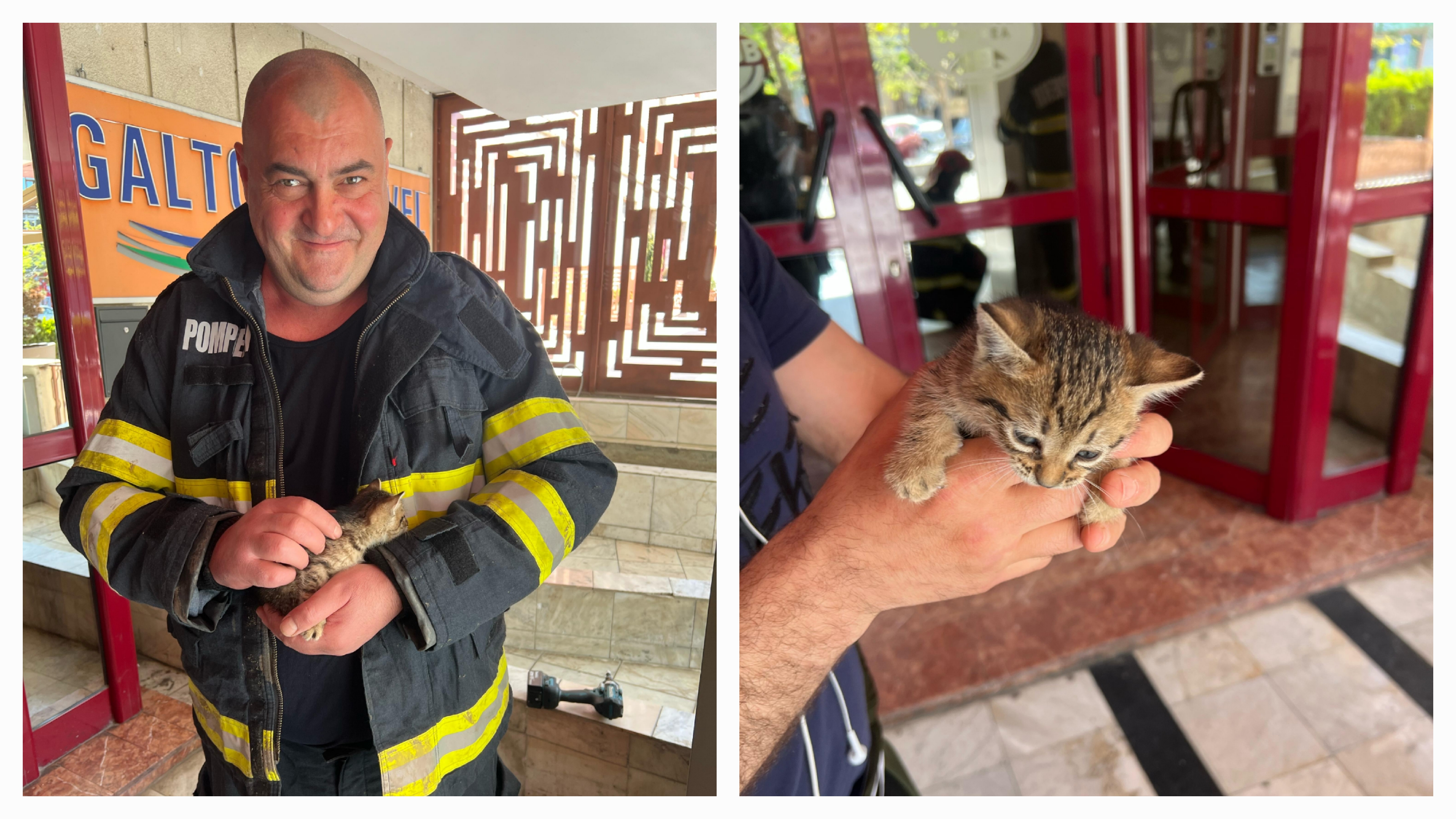 FOTO: Pisicuță salvată, de Paște, de pompierii gălățeni