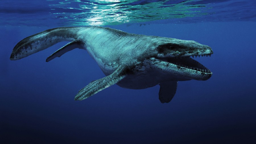 Descoperire rară în Mississippi: o vertebră uriaşă ar putea aparţine unui monstru marin din Cretacic