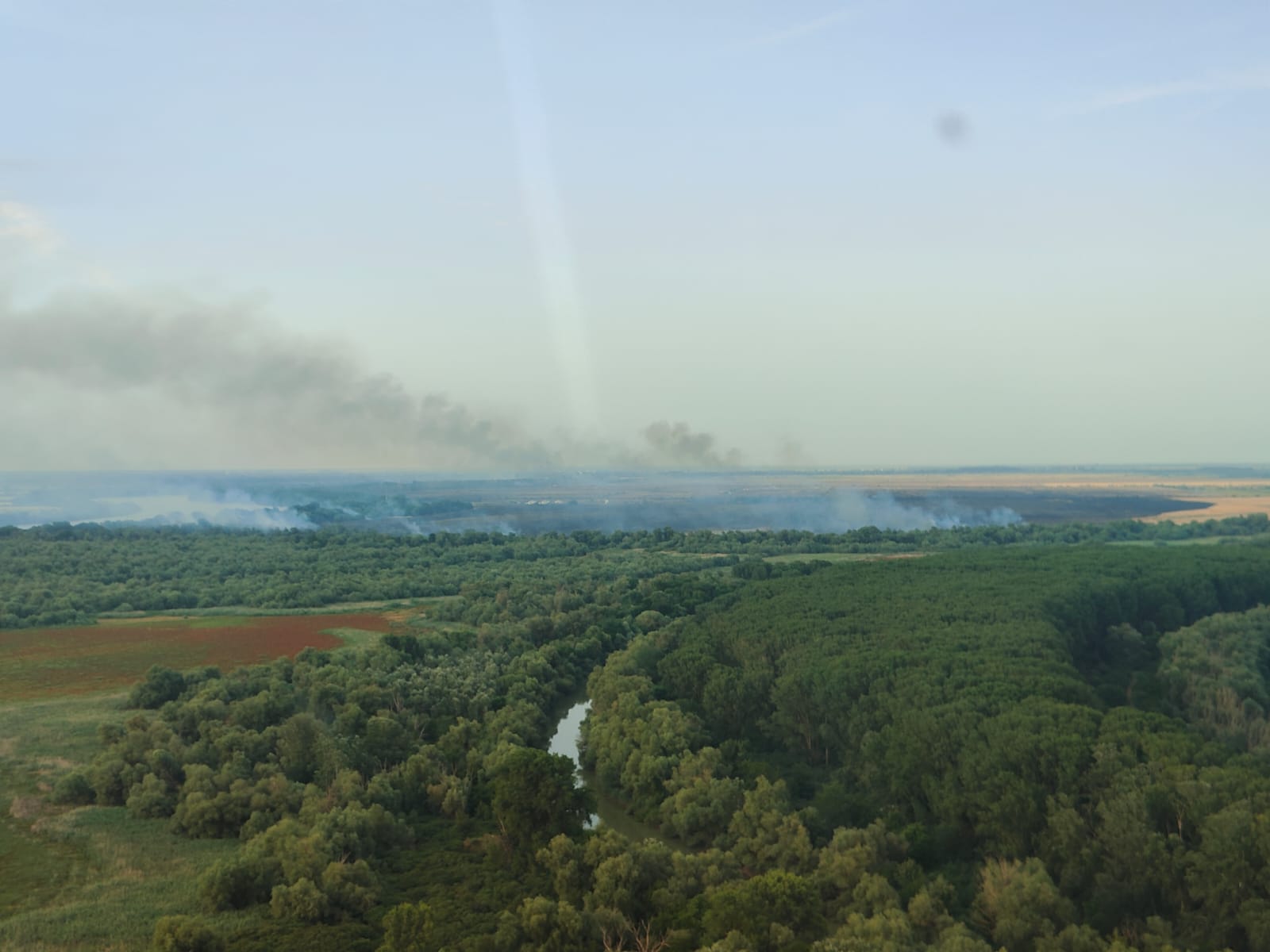 S-a reaprins incendiul din Deltă - UPDATE