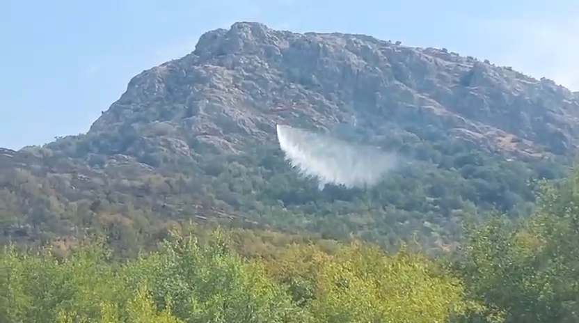 A fost lichidat incendiul de la Tulcea! De la ce ar fi pornit focul