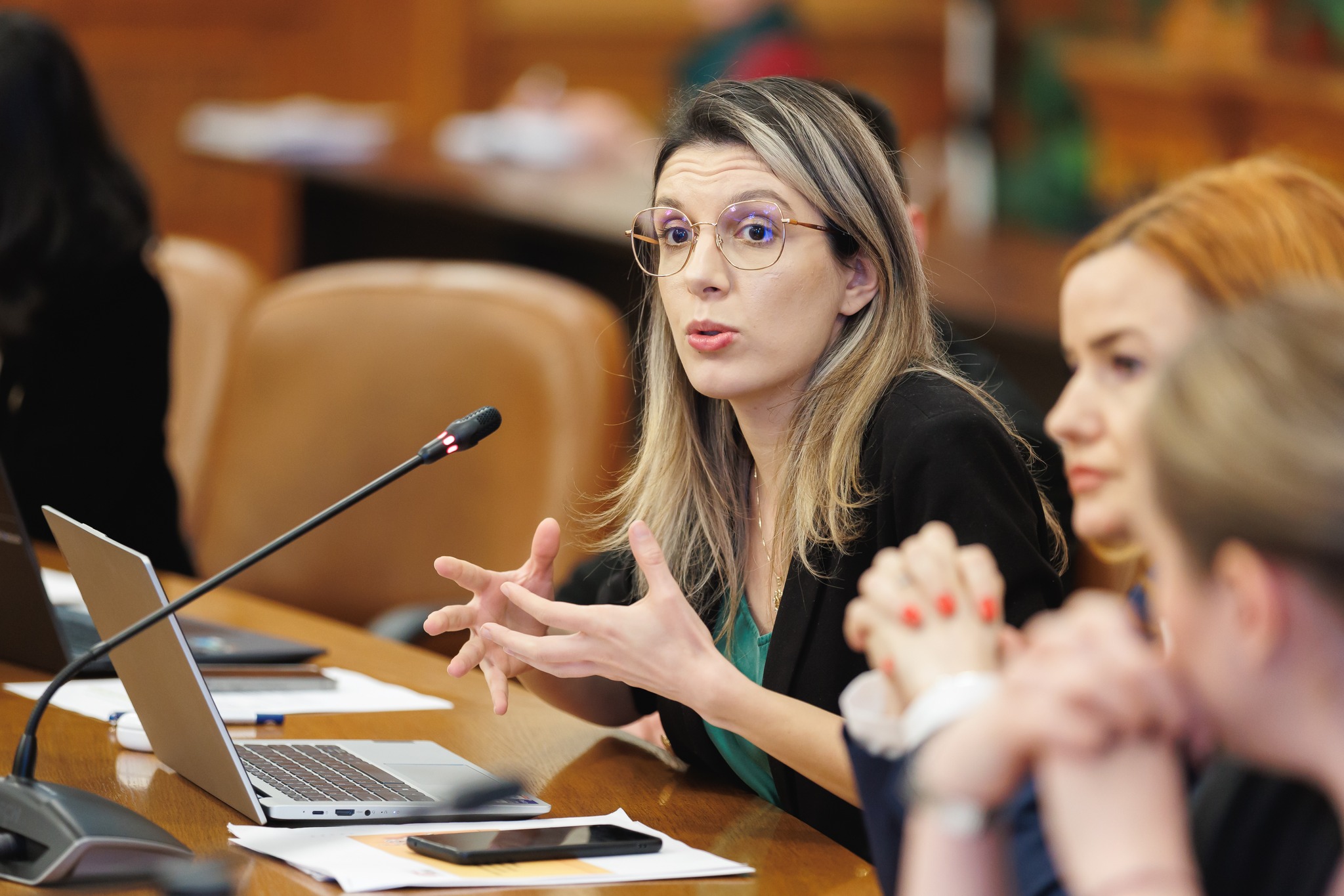 Ministrul Mediului: Programul Rabla pentru persoane fizice va fi reluat