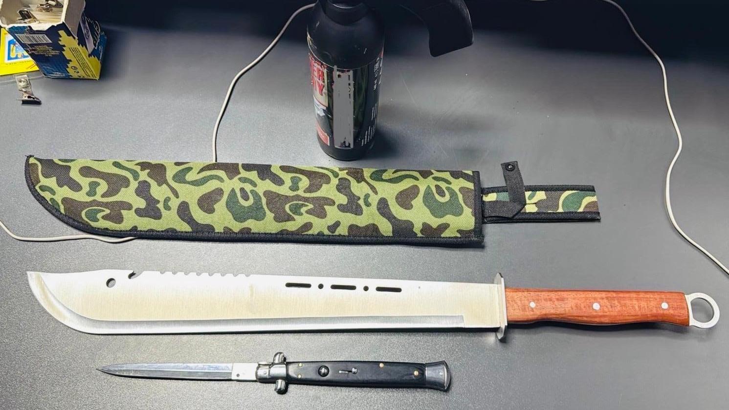 Jandarmii au dat peste un grup de ”ninja” pe străzile din Brăila