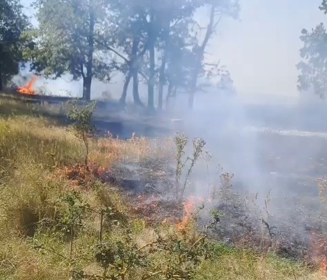 VIDEO: Incendiu de vegetație la Umbrărești