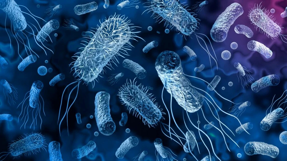 OMS avertizează: bacteriile rezistente la antibiotice se răspândesc alarmant în întreaga lume