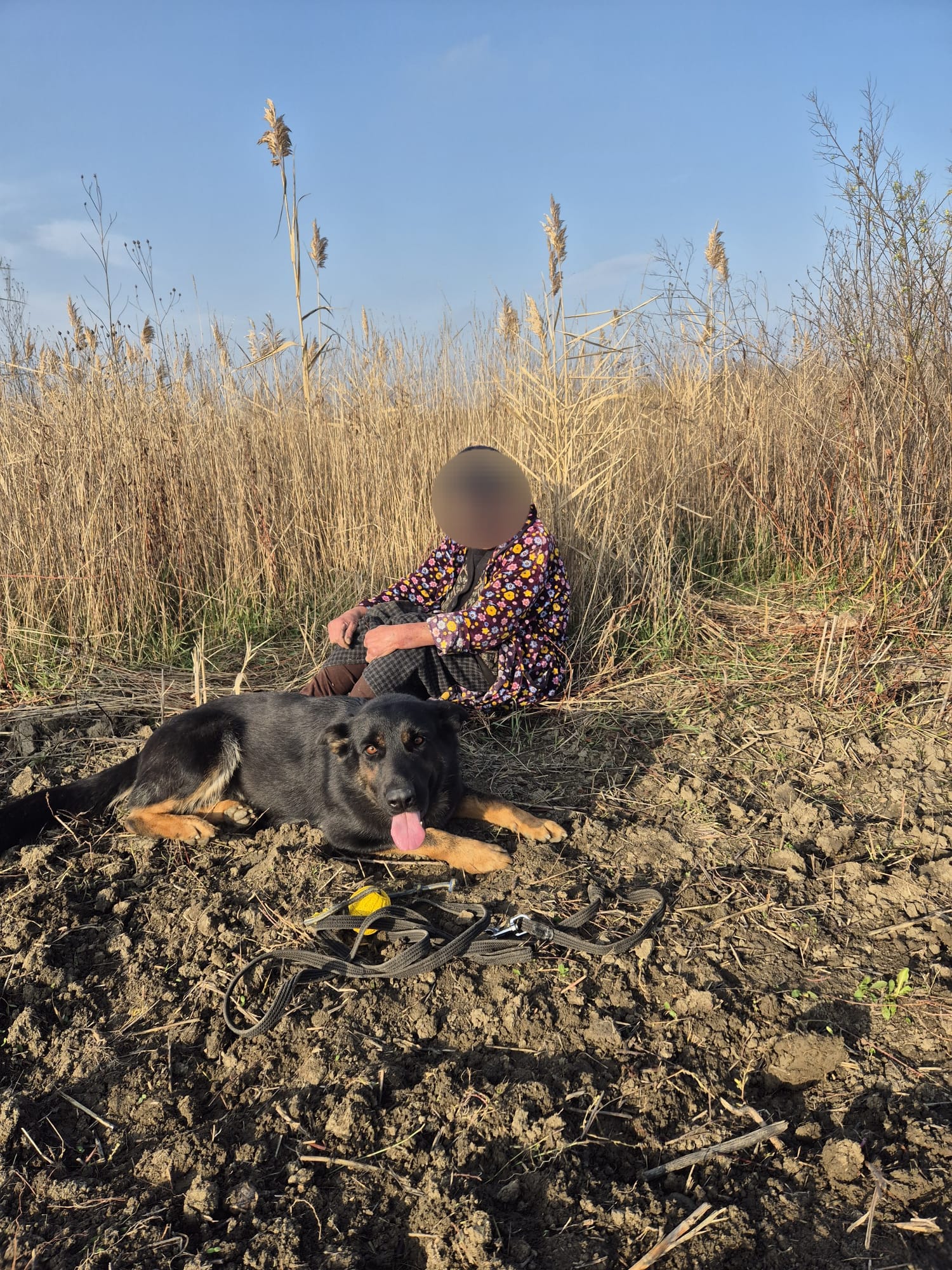 Galați: Femeie de 73 de ani din Liești, găsită de polițiști cu ajutorul unui câine de căutare-salvare