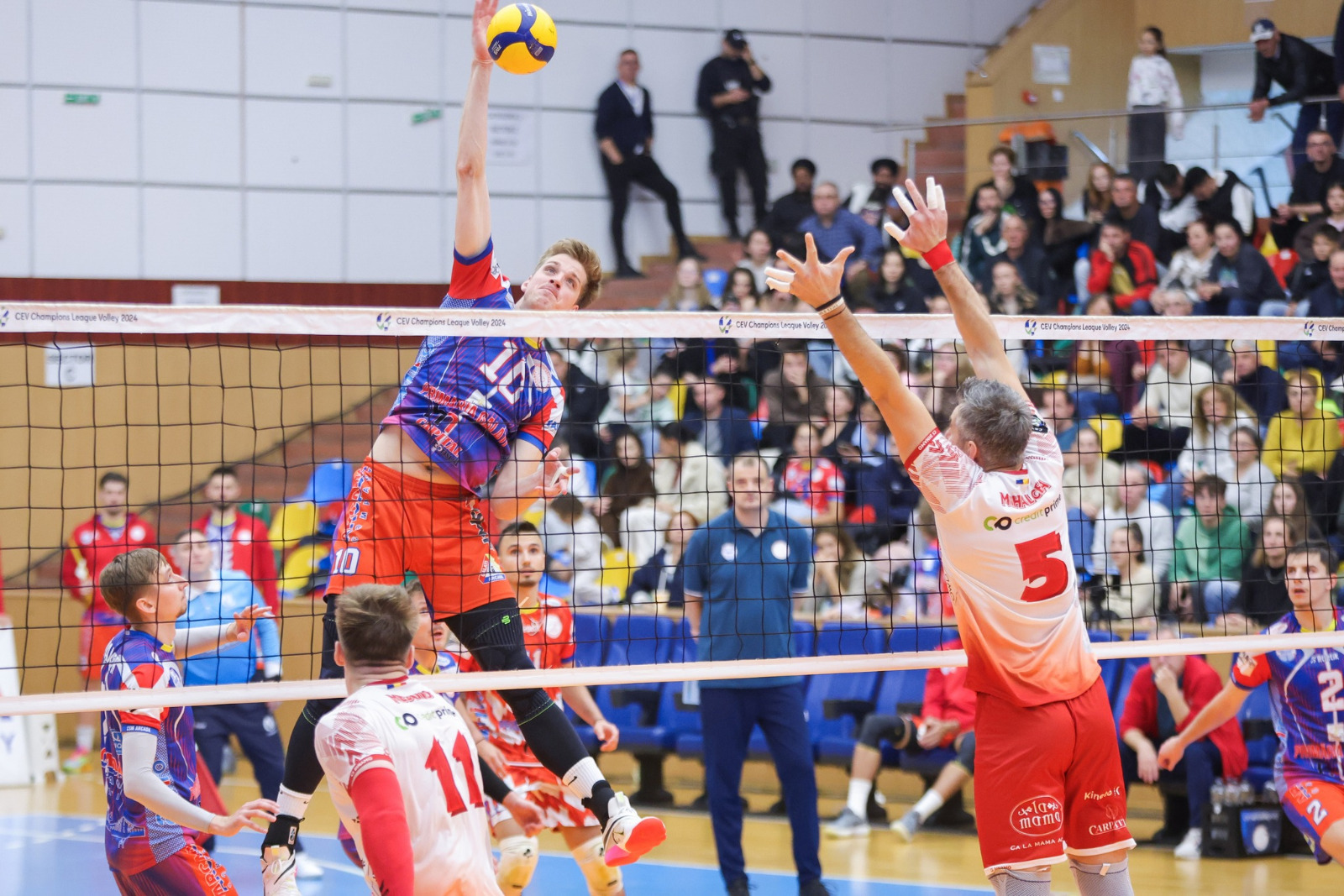 Volei masculin: CSM Arcada şi-a făcut temele cu Rapid pentru returul din Challenge Cup