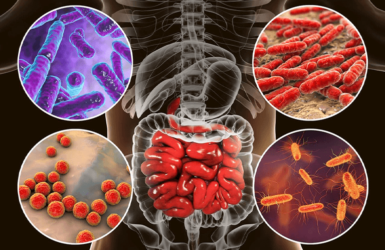 Microbiomul intestinal ar putea oferi o alternativă naturală la medicamentele pentru diabet