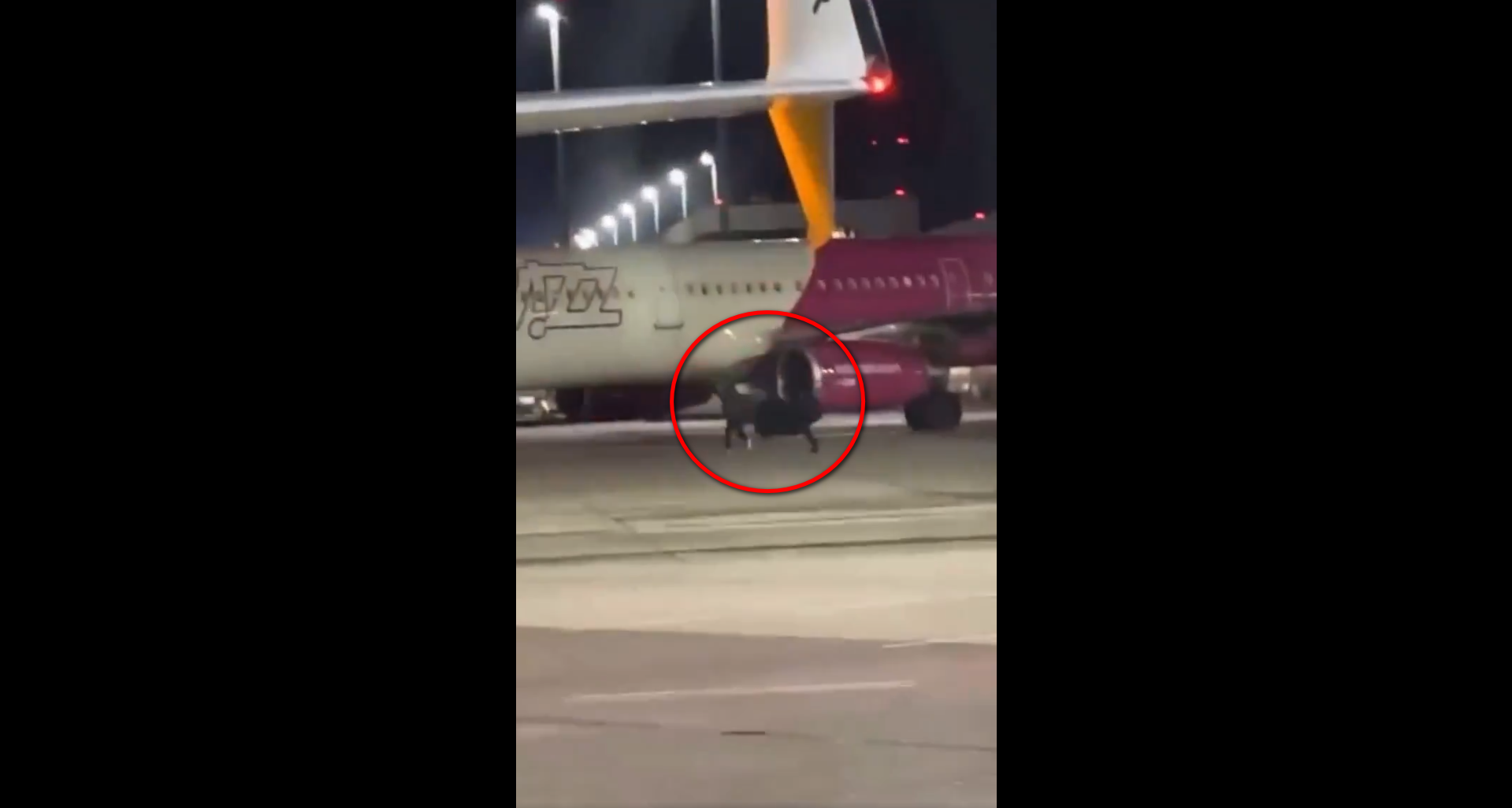 VIDEO: Dosar penal pentru românii care au alergat după avion