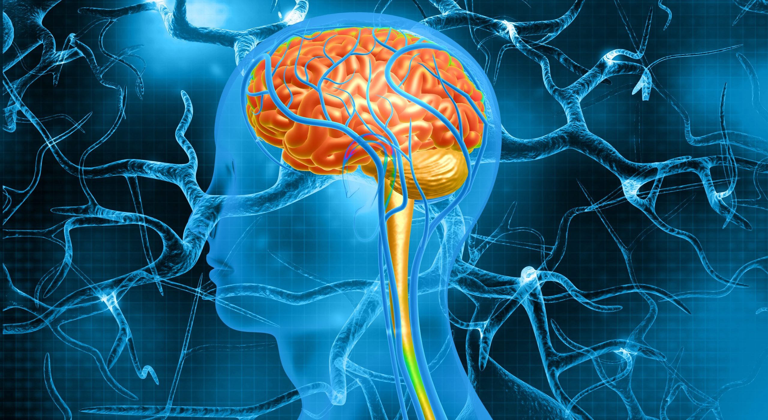 De ce nu poţi spune dacă un creier este „masculin” sau „feminin” doar uitându-te la el