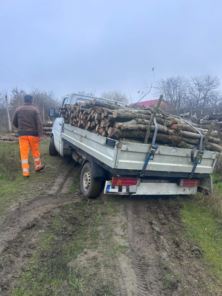 Transport de lemn confiscat de poliţişti