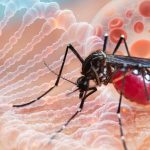 Primul caz de Chikungunya confirmat în România: autorităţile monitorizează atent riscul epidemiologic