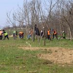 Păduri urbane la Galaţi: Se plantează aproape 200.000 de arbori şi arbuşti în 4 zone ale oraşului