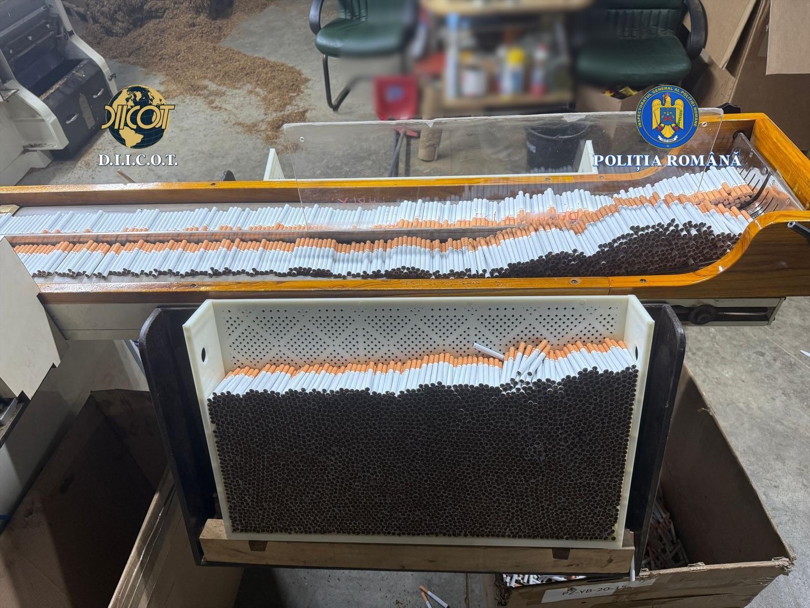 Judeţul Timiş: Fabrică ilegală de ţigarete şi tone de tutun, descoperite de poliţişti şi procurori