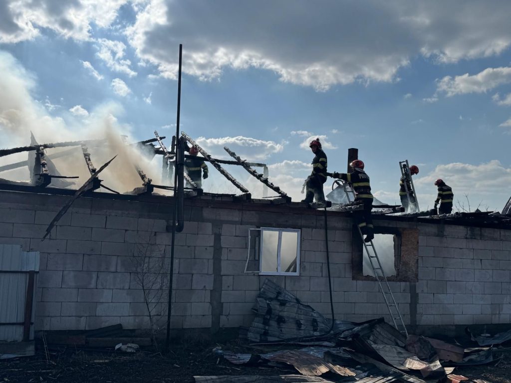 VIDEO: Incendiu la o locuinţă din localitatea Nicopole