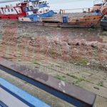 VIDEO: Dunărea la Galaţi, plină de aluviuni şi crengi aduse de Siret