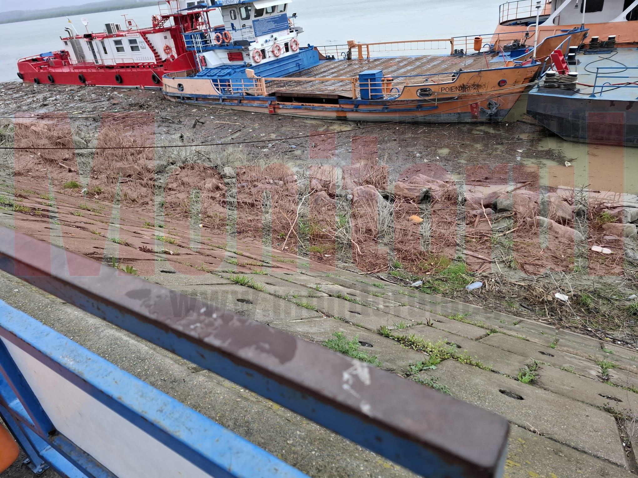 VIDEO: Dunărea la Galaţi, plină de aluviuni şi crengi aduse de Siret