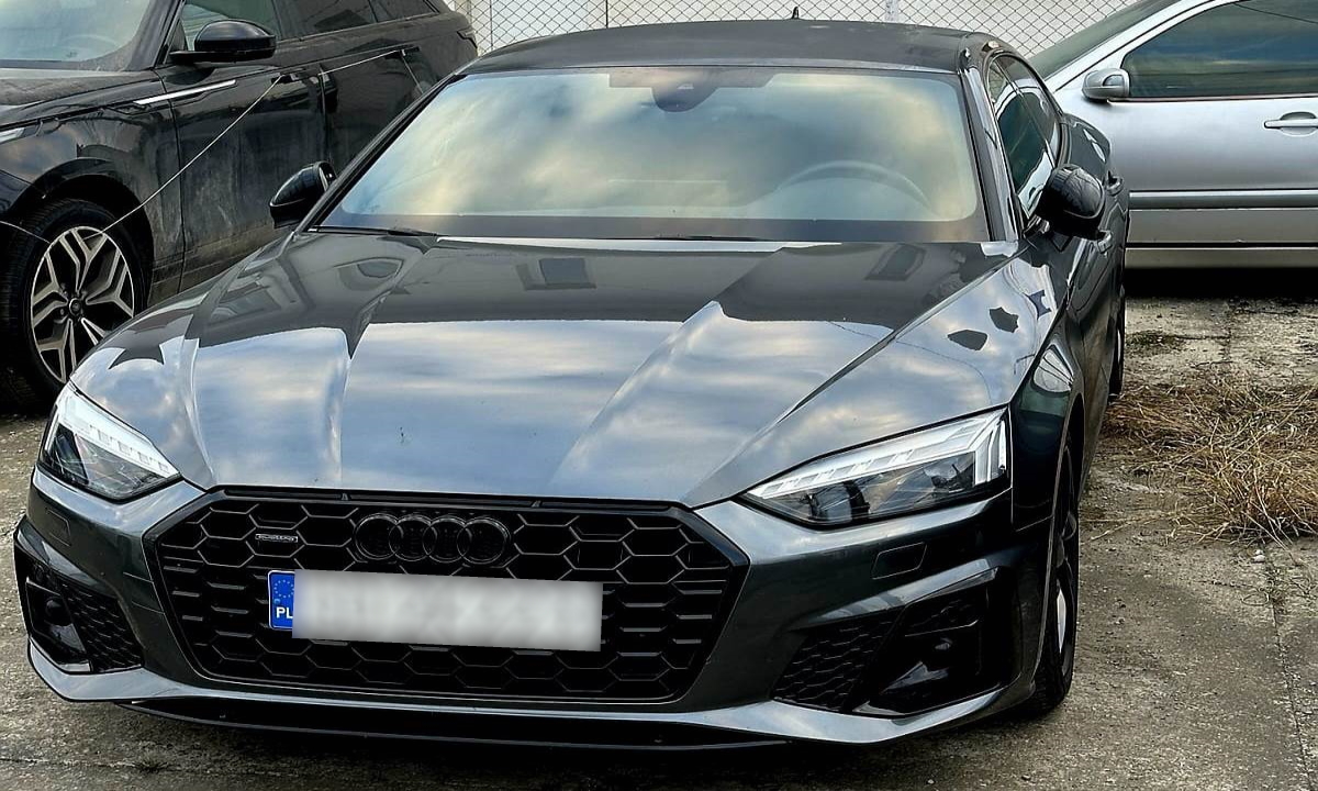 Autoturisme în valoare de peste 230.000 de lei, căutate de autorităţi, descoperite la PTF Sculeni