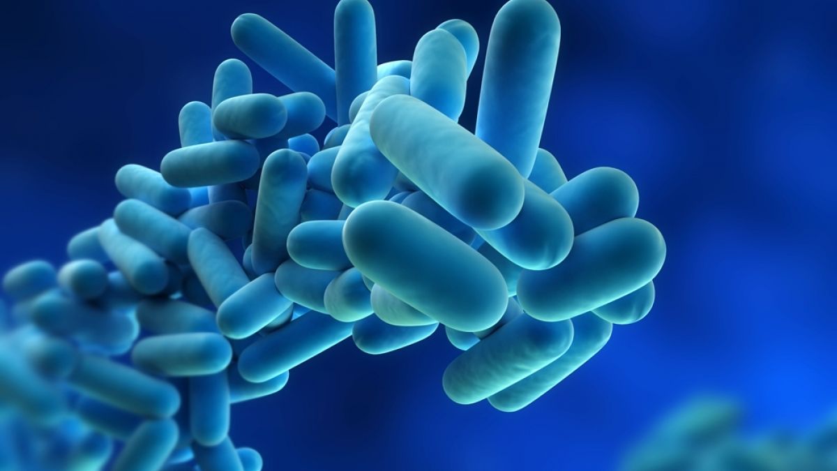 Bacteria din intestin care ar putea creşte forţa musculară. Descoperirea ar putea duce la un nou tip de probiotic