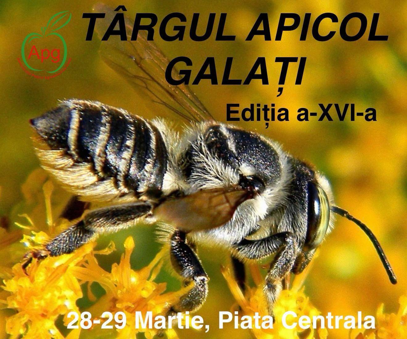 Târgul Apicol revine la Galaţi, în Piaţa Centrală