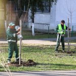 Primăria Galaţi a dat startul campaniei pentru plantările de primăvară