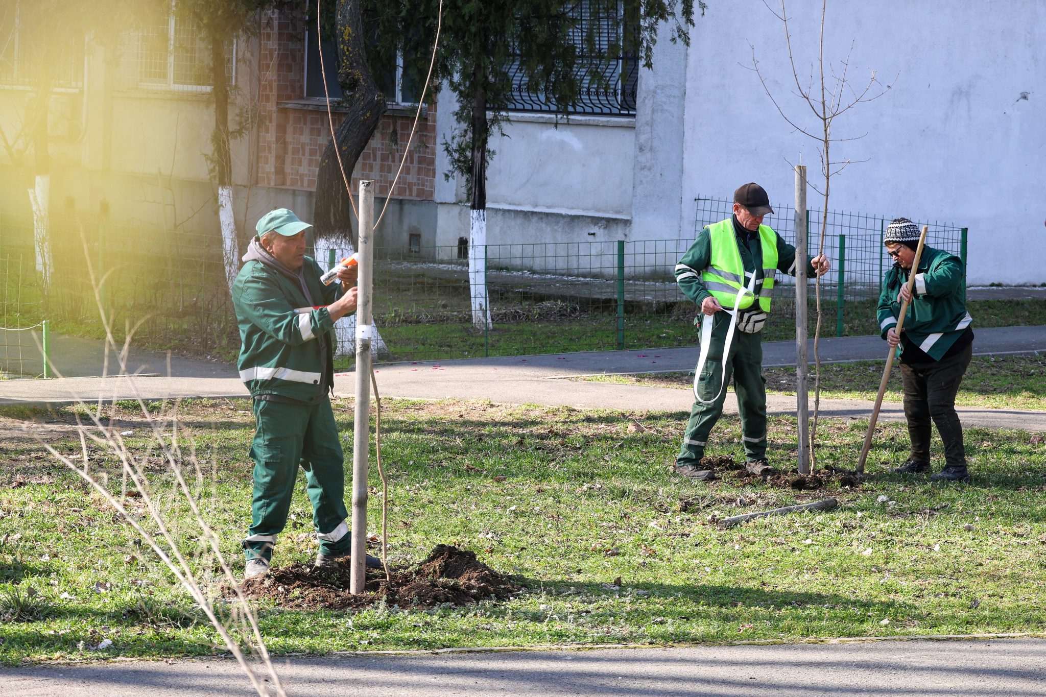 Primăria Galaţi a dat startul campaniei pentru plantările de primăvară