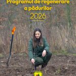 Romsilva va planta 25 de milioane de puieţi în campaniile de împăduriri din 2026