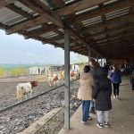 FOTO: Popasuri pline de lumină şi bucurie pentru 60 de elevi seminarişti gălăţeni