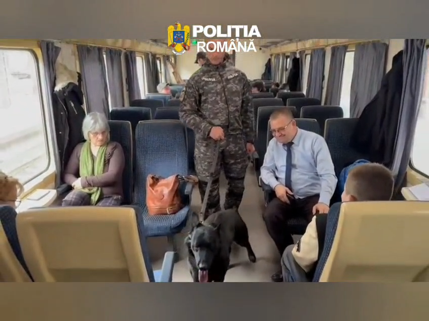 VIDEO: Controale şi amenzi în trenuri la Galaţi! Amplă acţiune a poliţiştilor de la Transporturi