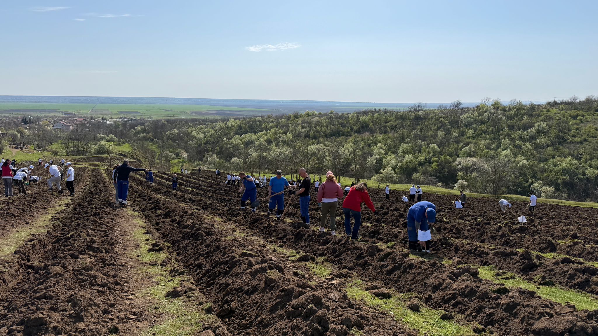 Acţiune de plantare în localitatea Tuluceşti, în Lunca Prutului Inferior