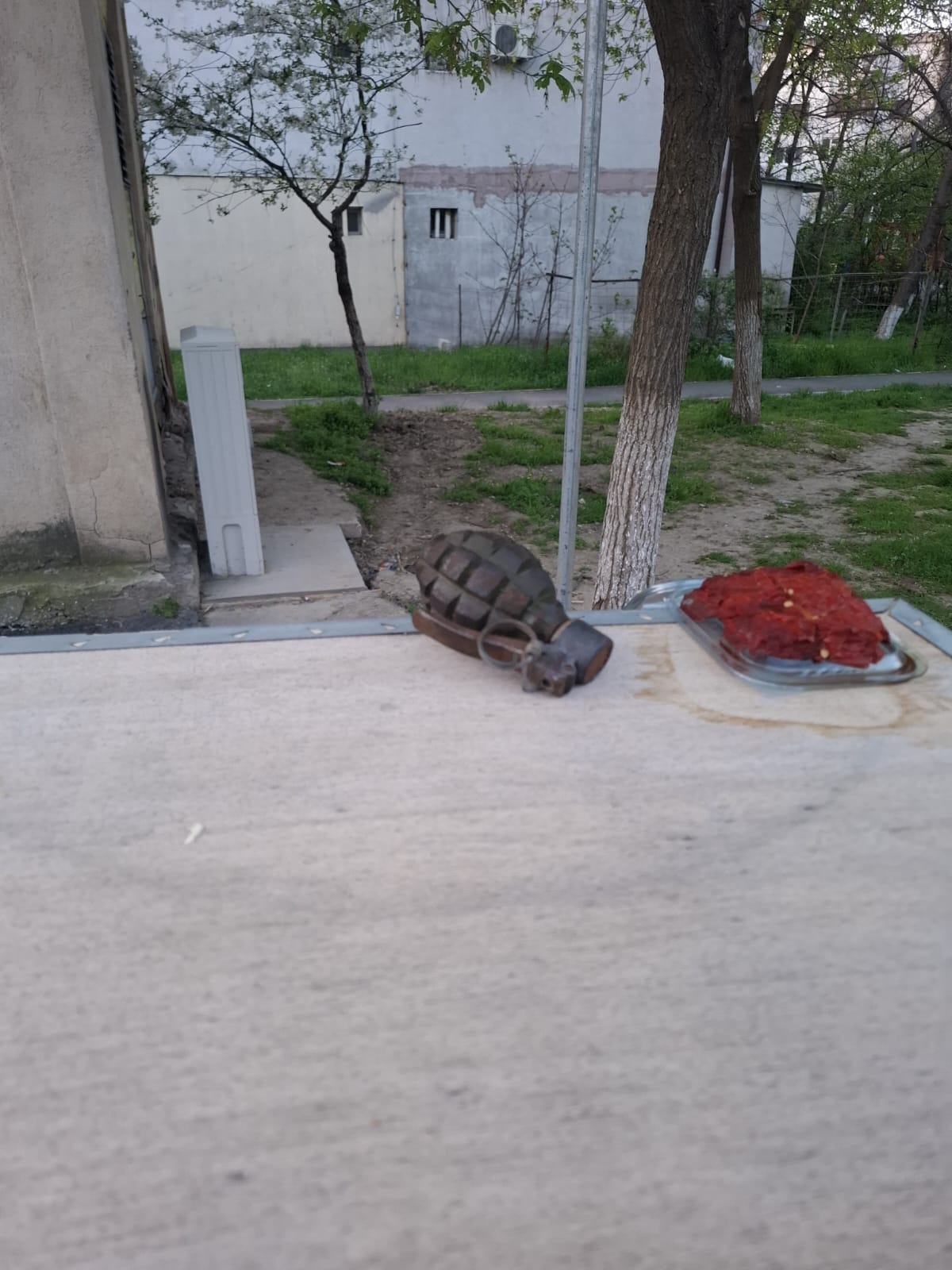 VIDEO: Grenadă găsită pe Bulevardul Siderurgiştilor (zona IREG)