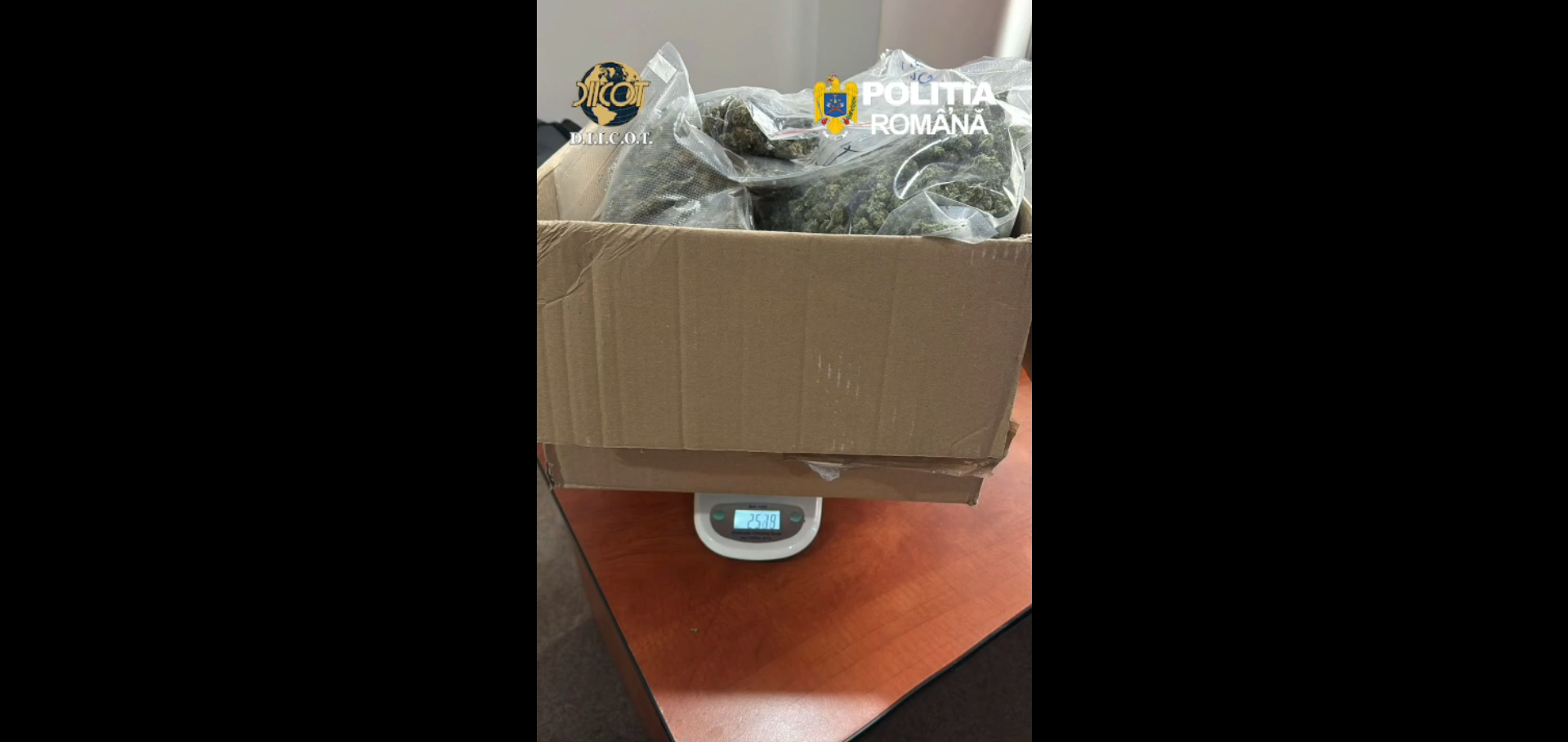 Din materialul probator administrat în cauză a rezultat că, în luna aprilie 2026, cei doi bărbaţi ar fi procurat din Spania şi introdus în România, prin intermediul unei firme de curierat, un colet conţinând aproximativ 13 kilograme de canabis.