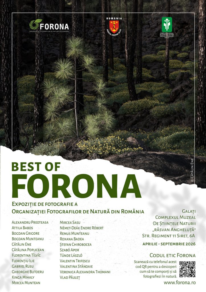 Expoziţia „Best of FORONA” aduce natura în prim-plan la Complexul Muzeal de Ştiinţele Naturii Galaţi