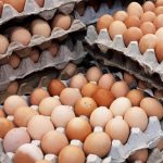 Alertă sanitară: Ouă contaminate cu Salmonella provenite de la două ferme din judeţul Galaţi retrase