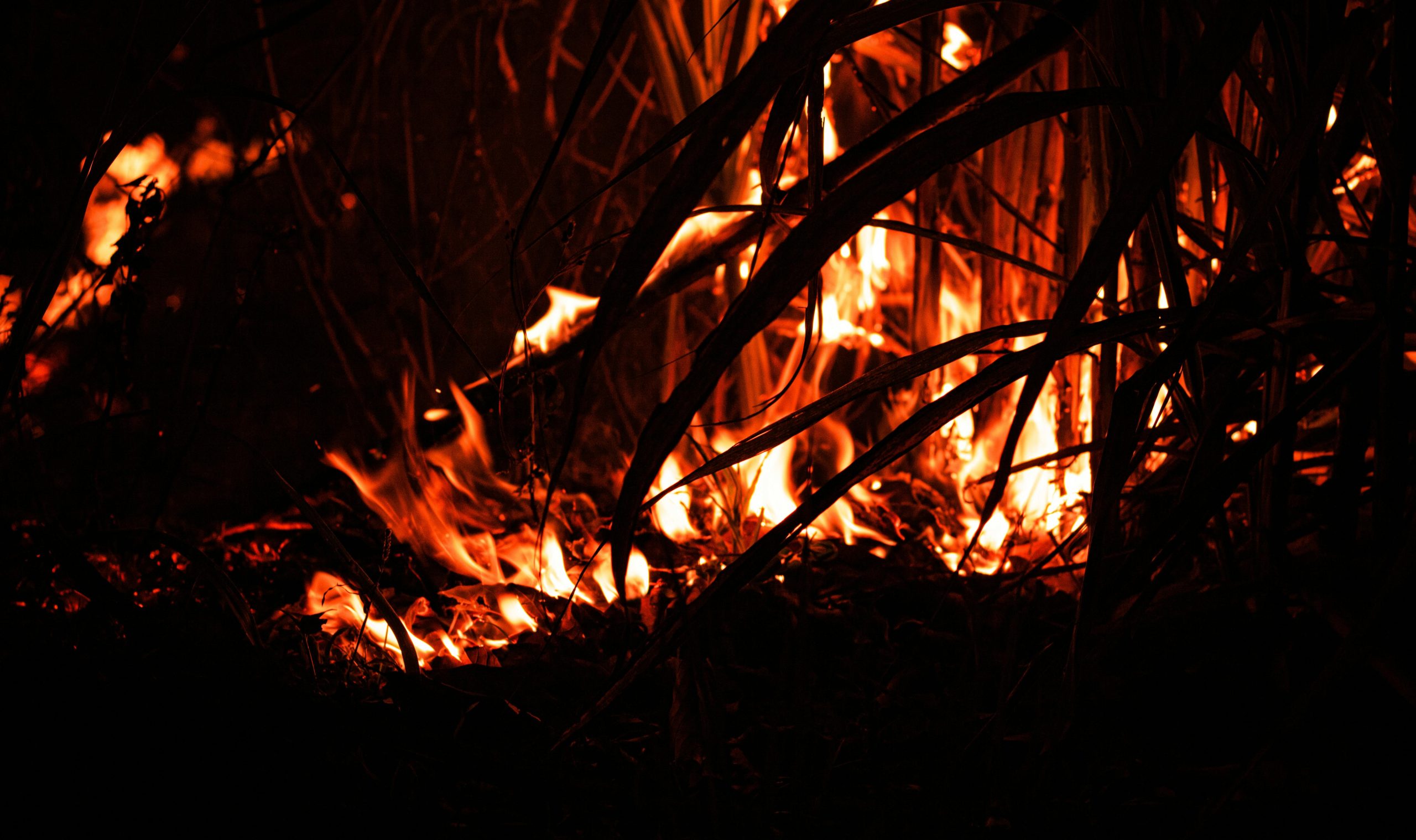 Incendiu la stână, în Cavadineşti