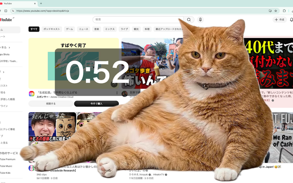 Pisica digitală care te opreşte din scroll infinit