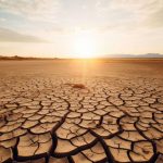 Seceta, un factor ascuns al crizei globale: cum favorizează apariţia bacteriilor rezistente la antibiotice